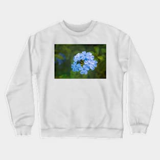 Plumbago Blue Crewneck Sweatshirt